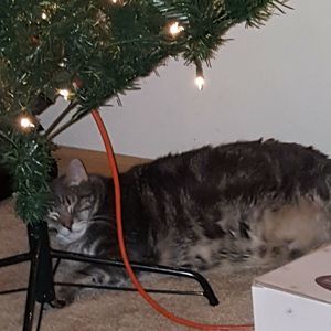 Meet your Posher, Mashelle